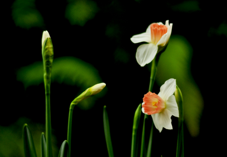 大家都做生態(tài)文明建設(shè)的實踐者、推動者（生態(tài)論苑）