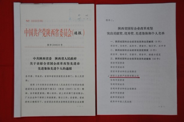 2009年2月，被陜西省委、省政府授予陜西省國有企業(yè)改革攻堅(jiān)先進(jìn)集體